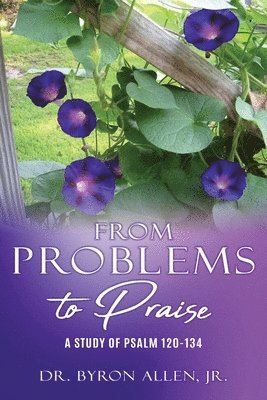 From Problems to Praise 1