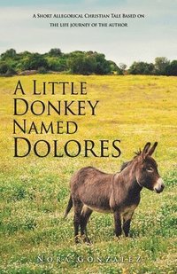 bokomslag A Little Donkey Named Dolores