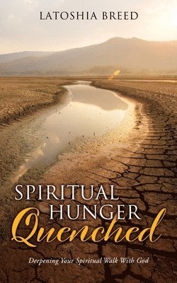 bokomslag Spiritual Hunger Quenched
