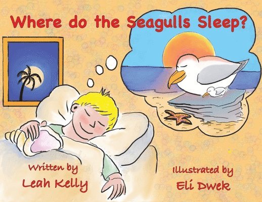 Where do the Seagulls sleep? 1