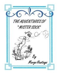 bokomslag Adventures of Mister Sock