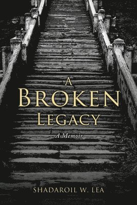 bokomslag Broken Legacy