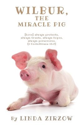 bokomslag Wilbur, the Miracle Pig