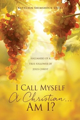 I Call Myself A Christian...Am I? 1