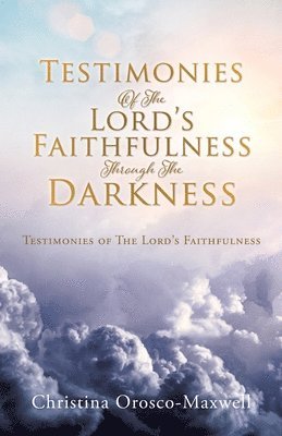 bokomslag Testimonies Of The Lord's Faithfulness Through The Darkness