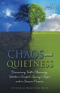 bokomslag Chaos and Quietness