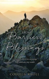 bokomslag From Barriers to Blessings
