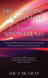 bokomslag Life Changing Encounters and Divine Appointments