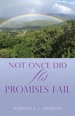 bokomslag Not Once Did His Promises Fail
