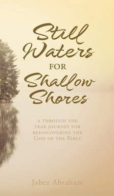 Still Waters for Shallow Shores 1