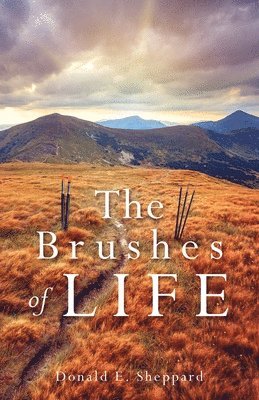 bokomslag Brushes of Life