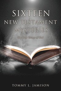 bokomslag Sixteen New Testament Mysteries
