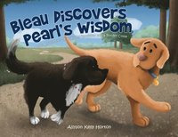 bokomslag Bleau Discovers Pearl's Wisdom