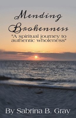 bokomslag Mending Brokenness