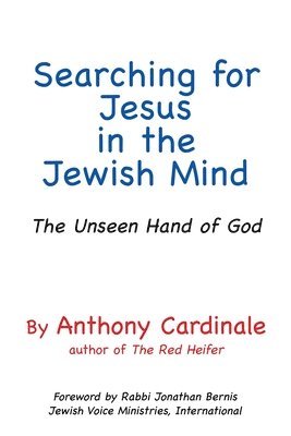 bokomslag Searching for Jesus in the Jewish Mind