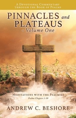 bokomslag Pinnacles and Plateaus - Volume One