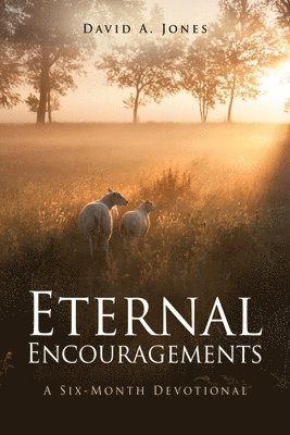 bokomslag Eternal Encouragements