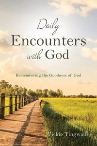 bokomslag Daily Encounters with God