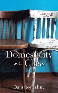 bokomslag Domesticity or Class