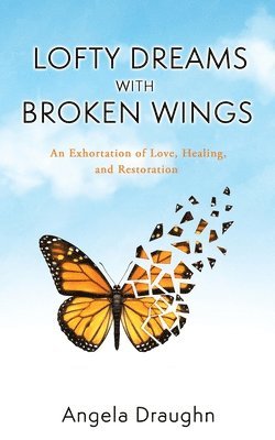 Lofty Dreams with Broken Wings 1