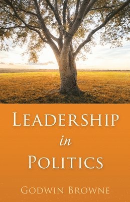 bokomslag Leadership in Politics