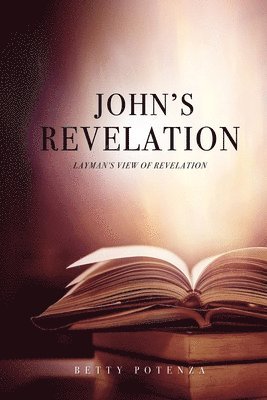 bokomslag John's Revelation