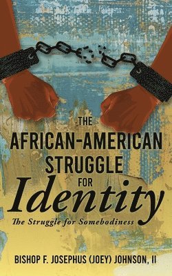 bokomslag The African American Struggle for Identity