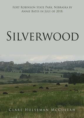 bokomslag Silverwood