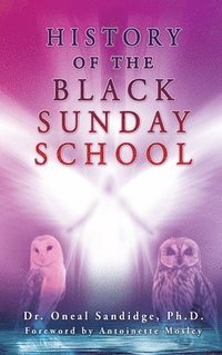 bokomslag History of the Black Sunday School