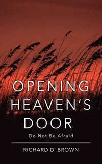 bokomslag Opening Heaven's Door