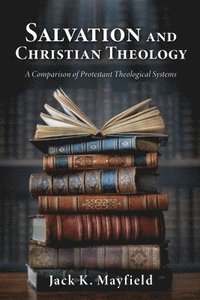 bokomslag Salvation and Christian Theology