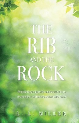 bokomslag The Rib and the Rock