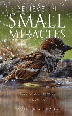 bokomslag Believe in Small Miracles