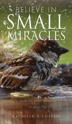 Believe in Small Miracles 1