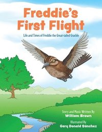 bokomslag Freddie's First Flight: Life and Times of Freddie the Great-tailed Grackle