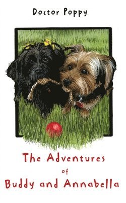 The Adventures of Buddy and Annabella 1