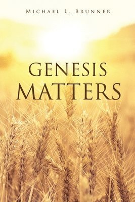 bokomslag Genesis Matters