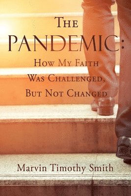 bokomslag Pandemic