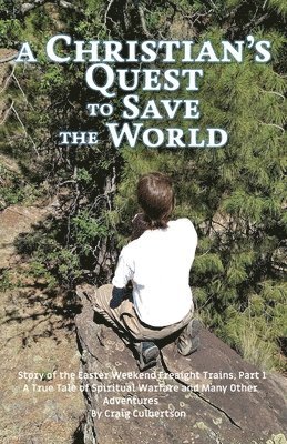 bokomslag A Christian's Quest to Save the World