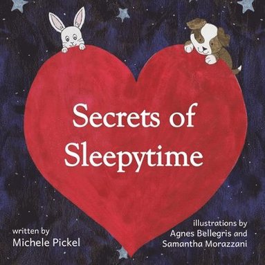 bokomslag Secrets of Sleepytime