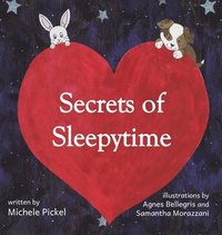 bokomslag Secrets of Sleepytime