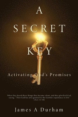bokomslag A Secret Key