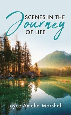 Scenes in the Journey of Life 1