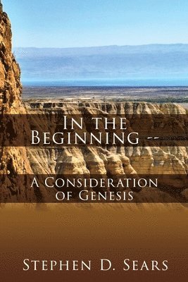 bokomslag In the Beginning - A Consideration of Genesis