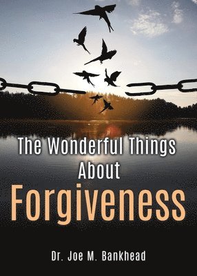 The Wonderful Things About Forgiveness 1