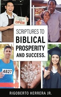 bokomslag Scriptures to Biblical Prosperity and Success.