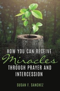 bokomslag How You Can Receive Miracles Through Prayer and Intercession