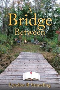 bokomslag A Bridge Between