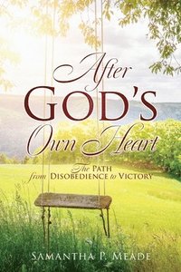 bokomslag After God's Own Heart