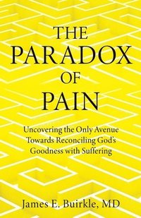 bokomslag The Paradox of Pain